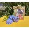 Agribomboniera Botanica 500g – Riso artigianale in confezione floreale