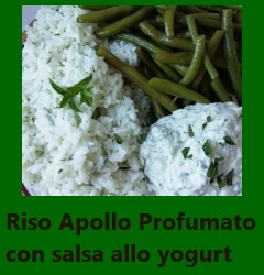 Riso Apollo Profumato con salsa allo yogurt