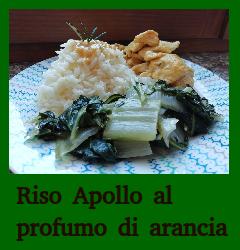 Riso Apollo profumato all'arancia