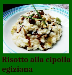 Risotto alla cipolla egiziana