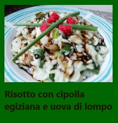 Risotto con cipolla egiziana e uova di lompo