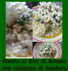 Risotto con fiori di Robinia e Sambuca