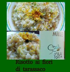 Risotto ai fiori di tarassaco