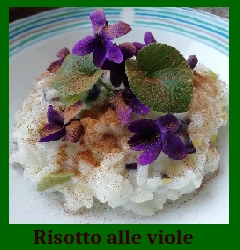 Risotto alle viole