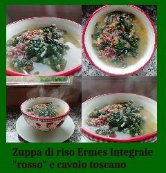Zuppa di riso Ermes Integrale